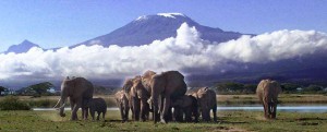 Samburu/Mt. Kenya/Nakuru/Baringo/Bogoria -6 days
