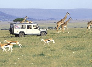 kenia-masai-mara